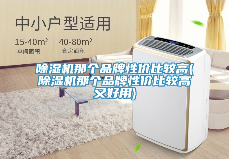 除濕機(jī)那個(gè)品牌性?xún)r(jià)比較高(除濕機(jī)那個(gè)品牌性?xún)r(jià)比較高又好用)