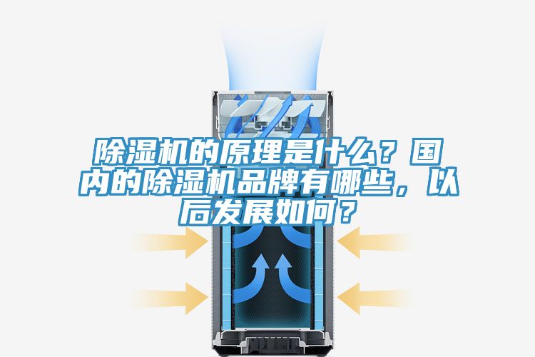 除濕機的原理是什么？國內(nèi)的除濕機品牌有哪些，以后發(fā)展如何？