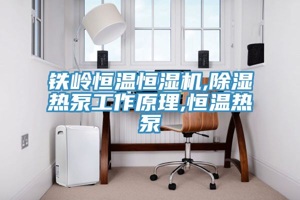 鐵嶺恒溫恒濕機,除濕熱泵工作原理,恒溫?zé)岜?/></p>
                            <p style=