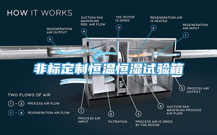 非標定制恒溫恒濕試驗箱