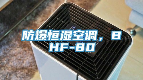 防爆恒濕空調，BHF-80