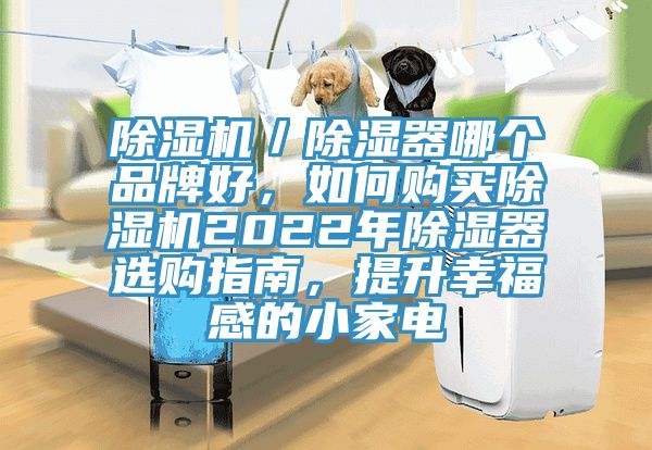 除濕機／除濕器哪個品牌好，如何購買除濕機2022年除濕器選購指南，提升幸福感的小家電