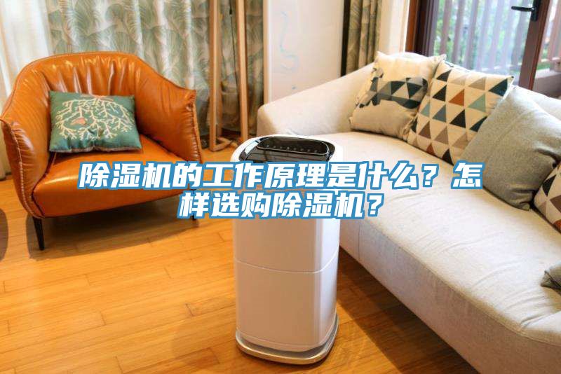 除濕機的工作原理是什么？怎樣選購除濕機？